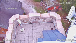 Žalý