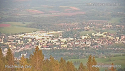 Žalý
