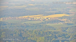Žalý
