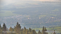 Žalý
