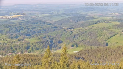 Žalý