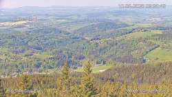 Žalý