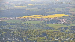 Žalý