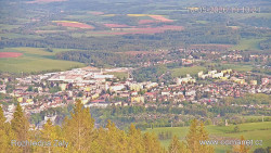 Žalý