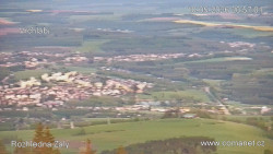 Žalý