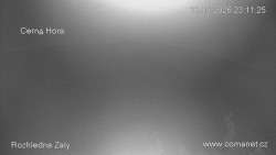 Žalý