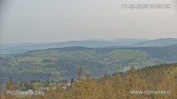Žalý