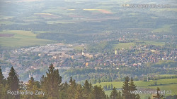 Žalý