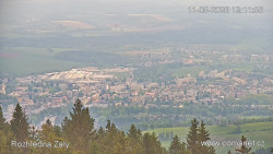 Žalý