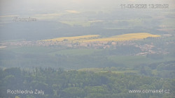Žalý