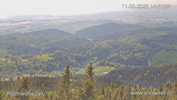 Žalý