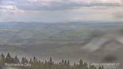 Žalý