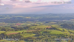 Žalý