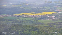 Žalý