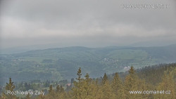 Žalý