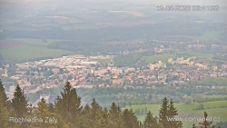 Žalý