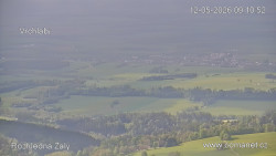 Žalý