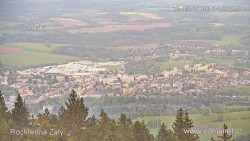 Žalý