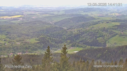 Žalý