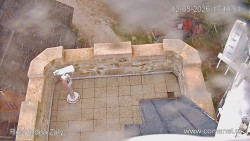 Žalý