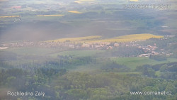 Žalý