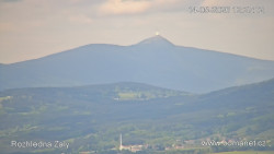 Žalý
