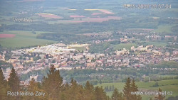 Žalý