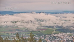 Žalý