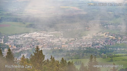 Žalý