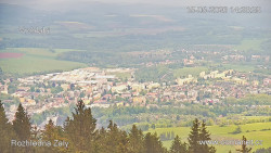 Žalý
