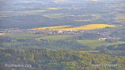 Žalý