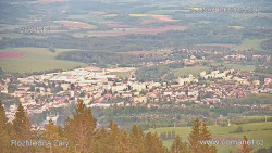 Žalý