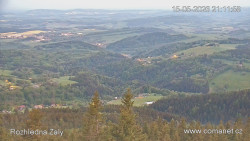 Žalý