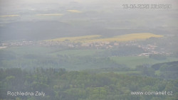 Žalý