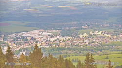 Žalý
