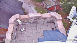 Žalý