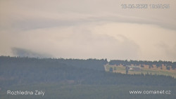Žalý