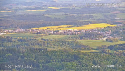 Žalý