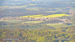 Žalý
