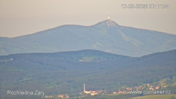Žalý