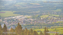 Žalý