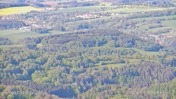 Žalý