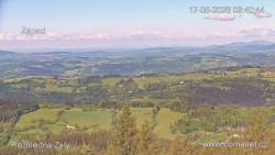 Žalý