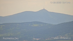 Žalý