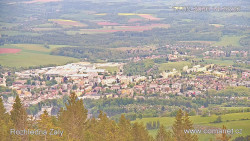 Žalý