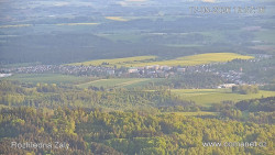 Žalý