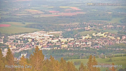 Žalý