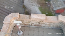 Žalý