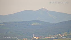 Žalý