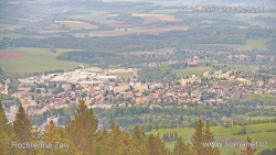 Žalý